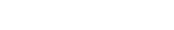 Cam Marston